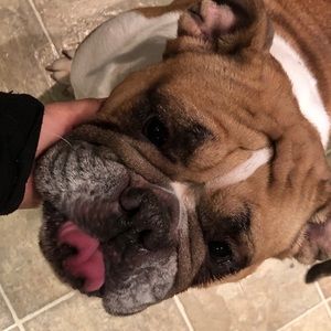 Meet your Posher, Ilianna